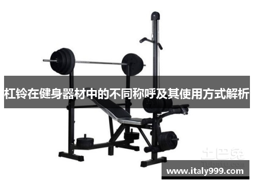 杠铃在健身器材中的不同称呼及其使用方式解析