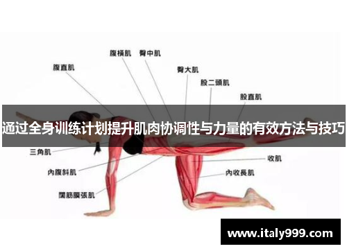 通过全身训练计划提升肌肉协调性与力量的有效方法与技巧