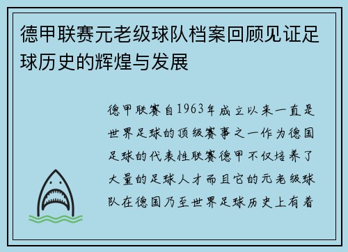 德甲联赛元老级球队档案回顾见证足球历史的辉煌与发展