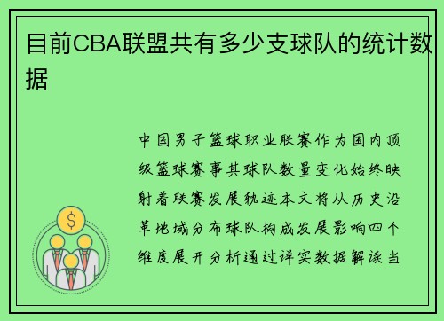 目前CBA联盟共有多少支球队的统计数据