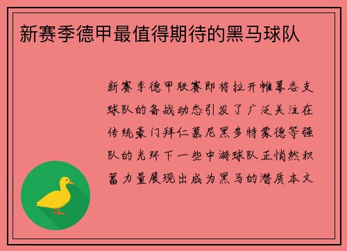 新赛季德甲最值得期待的黑马球队