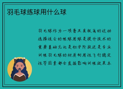 羽毛球练球用什么球